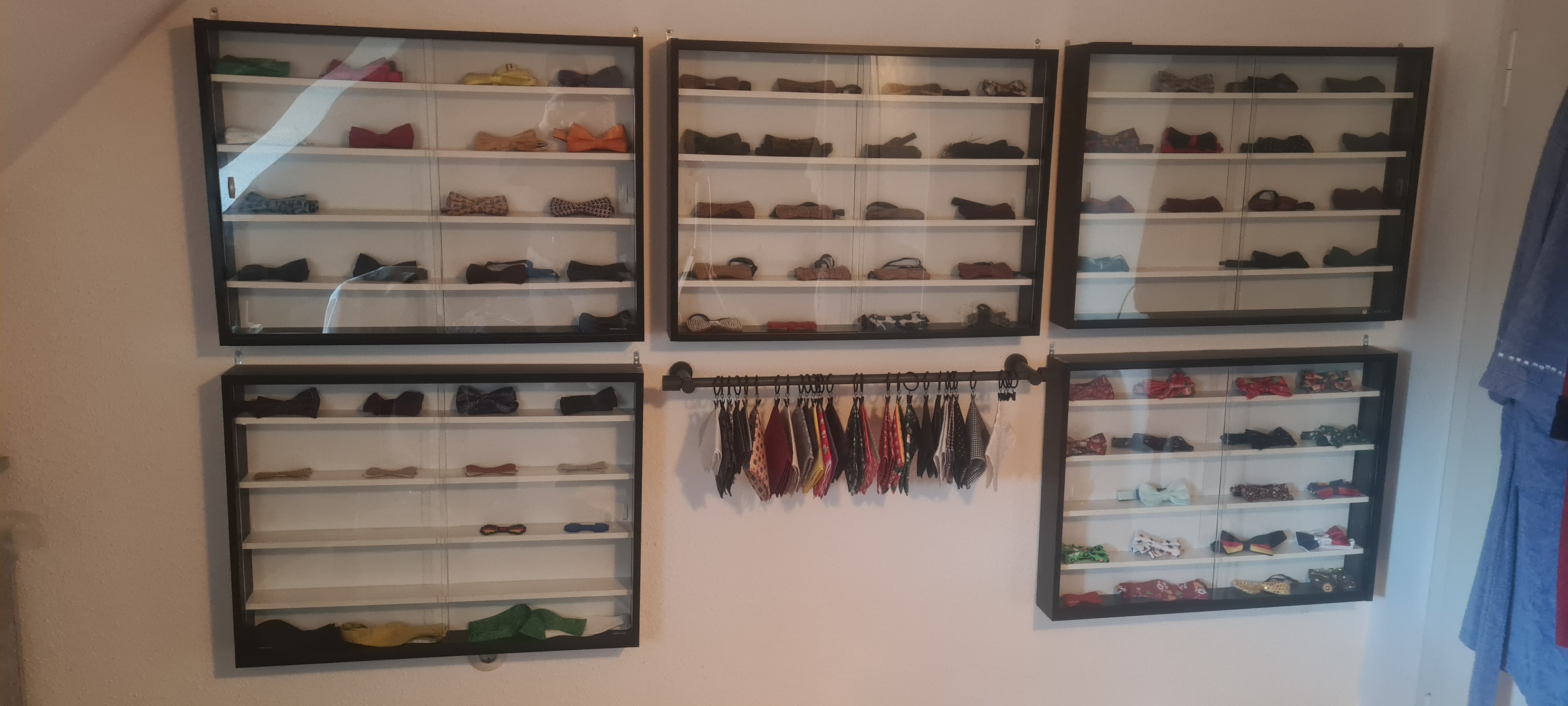 Meine Fliegensammlung